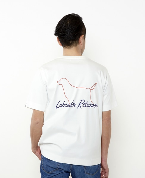 Labrador Retriever コラボTシャツ 詳細画像 ホワイトB 15