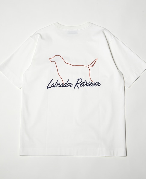 Labrador Retriever コラボTシャツ 詳細画像 ホワイトB 9