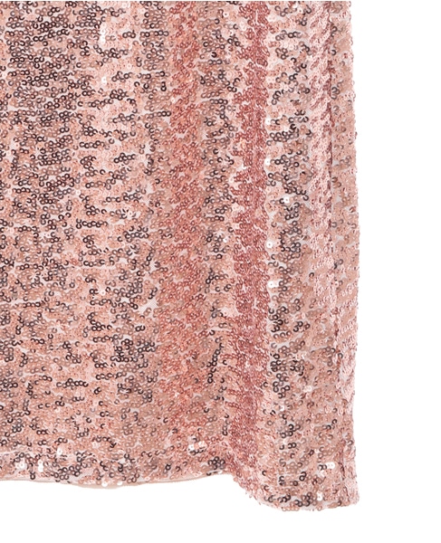 【Baum und Pferdgarten/バウム・ウンド・ヘルガーテン】スカート 詳細画像 ピンクベージュ 4