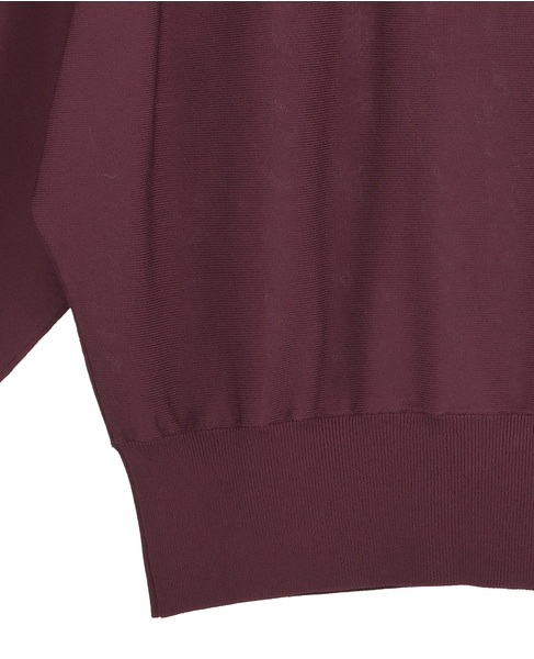 ドルマンVネックニット 詳細画像 ボルドー 5