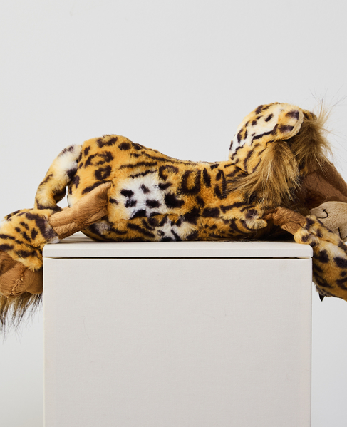 【SIGI KID/シギキッド】Beasts　チーキー・チーター 詳細画像 マルチ 2