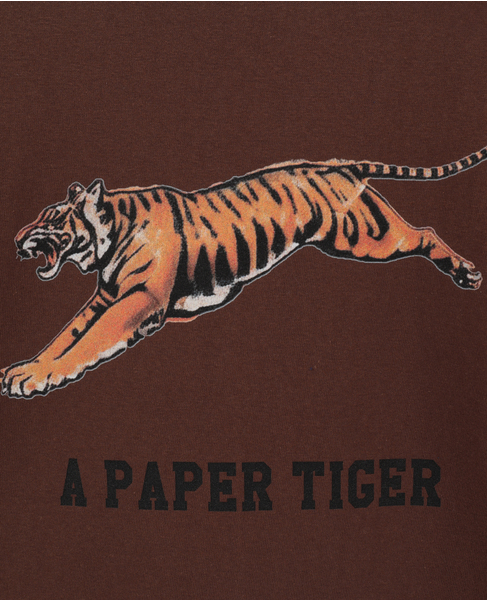 【Regency Works/リージェンシーワークス】Tシャツ（500101A-6） 詳細画像 ブラウン 6