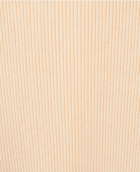 【AURALEE/オーラリー】COTTON HIGH GAUGE RIB KNIT TEE 詳細画像 ベージュ 6
