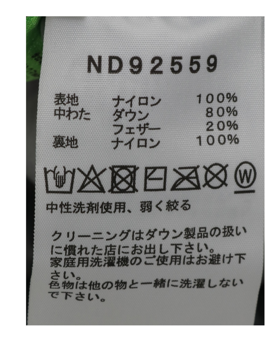 《WEB限定》【THE NORTH FACE/ザ・ノース・フェイス】NUPTSE HOODIE 詳細画像 グレー 8