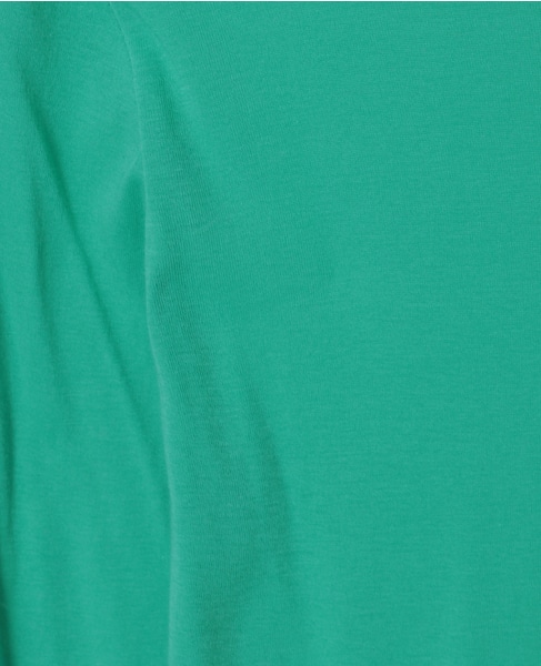 【AURALEE/オーラリー】*SUPER HIGH GAUGE SHEER RIB TURTLE NECK L/S TEE 詳細画像 グリーン 6