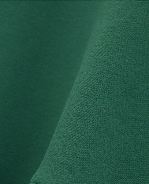 《WEB限定》【THE NORTH FACE/ザ・ノース・フェイス】GAR Sweat Hoodie  詳細画像 グリーン 5