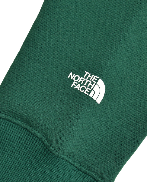 《WEB限定》【THE NORTH FACE/ザ・ノース・フェイス】GAR Sweat Hoodie  詳細画像 グリーン 6