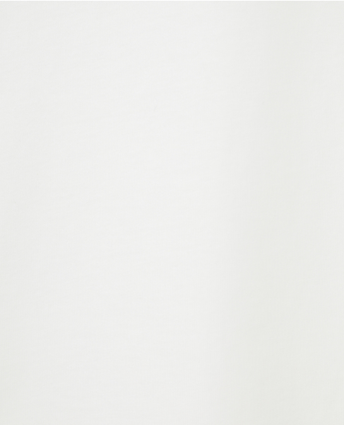 【THE NORTH FACE/ザ・ノース・フェイス】NT32666 GAR Typographic White S/S Tee 詳細画像 グリーン 8