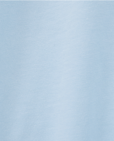 【POLO RALPH LAUREN/ポロラルフローレン】Classic Fit `Ralph`Logo T-Shirt 詳細画像 サックス 7