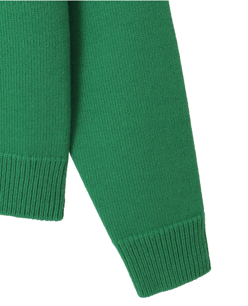 【AURALEE/オーラリー】SUPER FINE WOOL KNIT P/O 詳細画像 グリーン 4