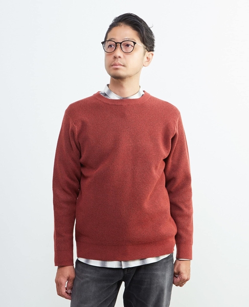 ラムウールライクプレーティングクルーネックニット 詳細画像 アイボリー 23