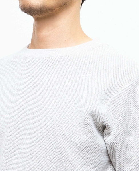 ラムウールライクプレーティングクルーネックニット 詳細画像 アイボリー 6