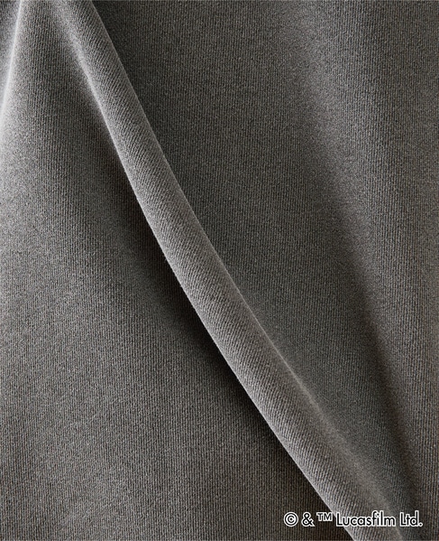 MASTER FRAME / STARWARS / レタリング ベイダースウェット 詳細画像 ライトグレー 22