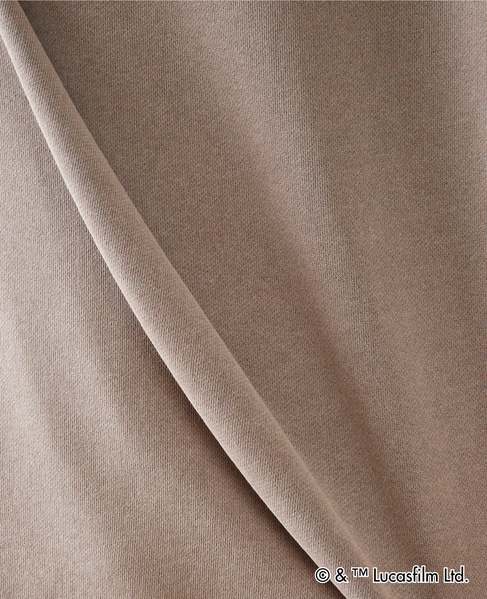 MASTER FRAME / STARWARS / ep1 スウェット 詳細画像 ライトグレー 17