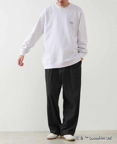 MASTER FRAME / STARWARS / ep1 スウェット 詳細画像 ライトグレー 27