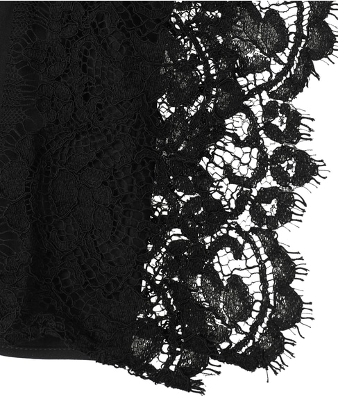 【LUTZ HUELLE/ルッツヒュエル】レースシアーブラウス 詳細画像 ブラック 5