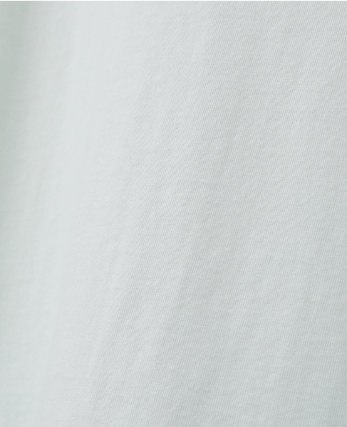 【定番型】ロゴプリント製品染ビックTシャツ 詳細画像 ミント 7