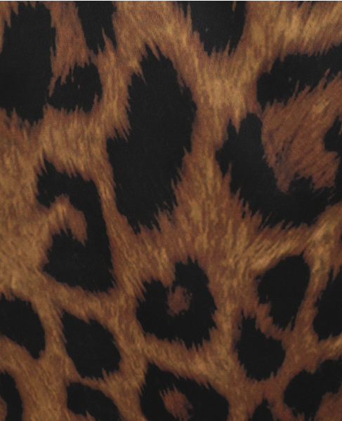 【BIRROT/ビロット】BIDAN SKIRT 詳細画像 レオパード柄 7