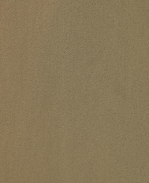 【A_/エース】こなれ感ロングシャツワンピース 詳細画像 ダークベージュ 14