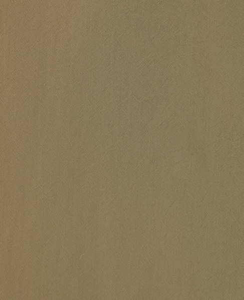 【A_/エース】こなれ感ロングシャツワンピース 詳細画像 ダークベージュ 8