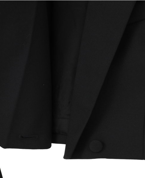 【LUTZ HUELLE/ルッツヒュエル】Black Section Vest 詳細画像 ブラック 8