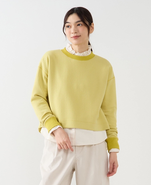 【ワッフルクロプドクルーネックカットプルオーバー】 詳細画像 イエロー 1