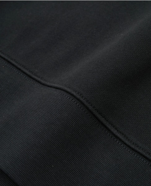 【LACOSTE/ラコステ】ネーム＆ワニロゴパッチフーディ 詳細画像 ブラック 7