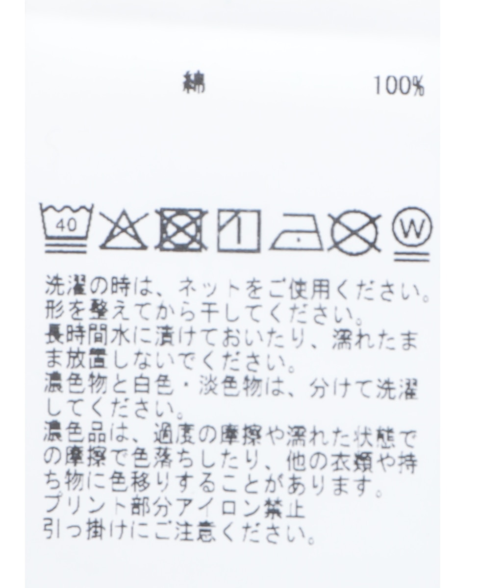 ラグランロゴTシャツ 詳細画像 オフ 24