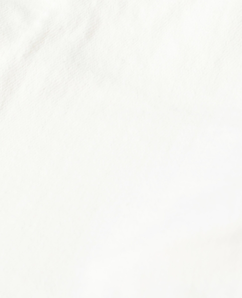 【something/サムシング】PEPLUM 2way BUSTIER 詳細画像 ホワイト 15