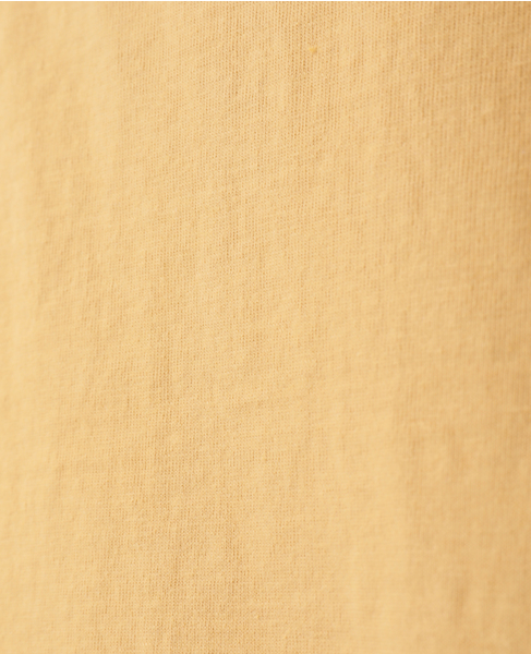 【GOOD ROCK SPEED/グッドロックスピード】 LIFE PICTURE COLLECTION Tシャツ 詳細画像 イエロー 7