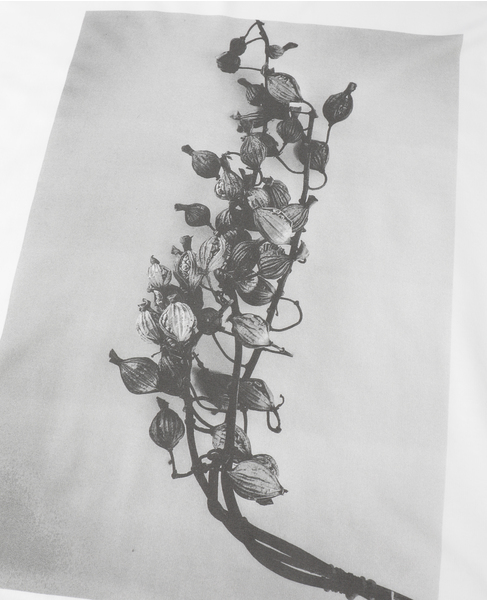 サイロコンパクトインレーフォトプリントワンピース 詳細画像 ホワイト 6