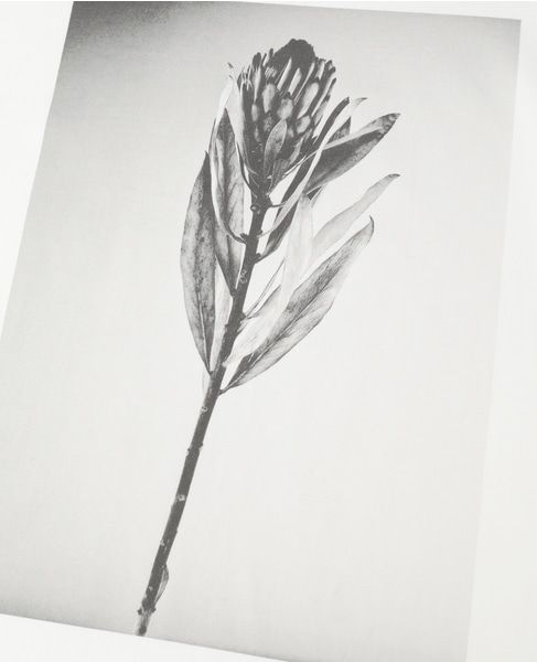 フォトプリントドルマンスリーブロングT-シャツ 詳細画像 ホワイト&times;ブラック 14