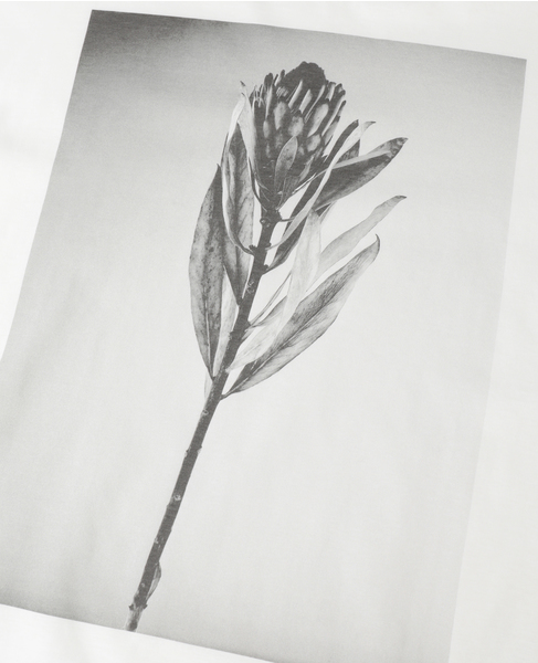 フォトプリントT-シャツ 詳細画像 ホワイト 6