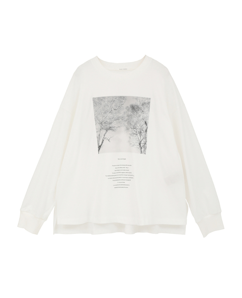 コットン天竺フォトプリントTシャツ 詳細画像 ホワイト 6