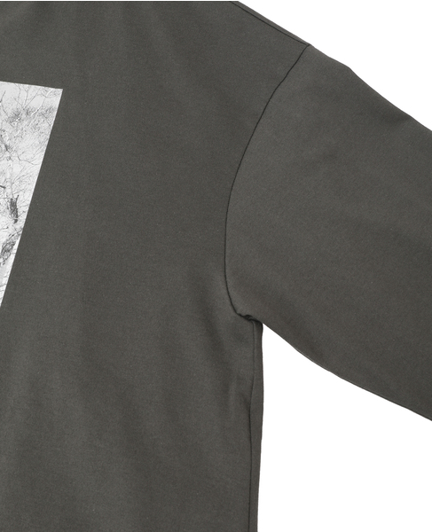 コットン天竺フォトプリントTシャツ 詳細画像 グレー 11