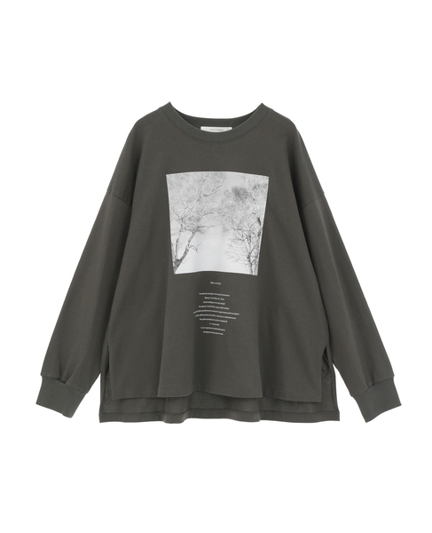 コットン天竺フォトプリントTシャツ 詳細画像 グレー 6