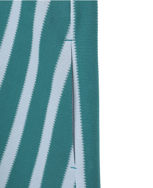 RusselStripeTankDress 詳細画像 グリーン 6