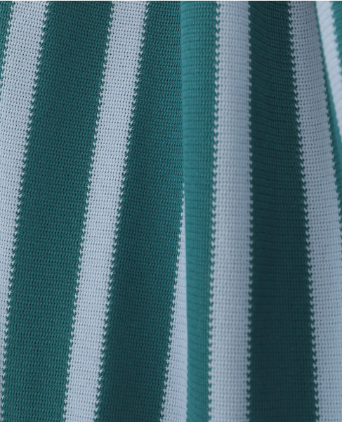 Russell Stripe  Jersey Pants 詳細画像 グリーン 5