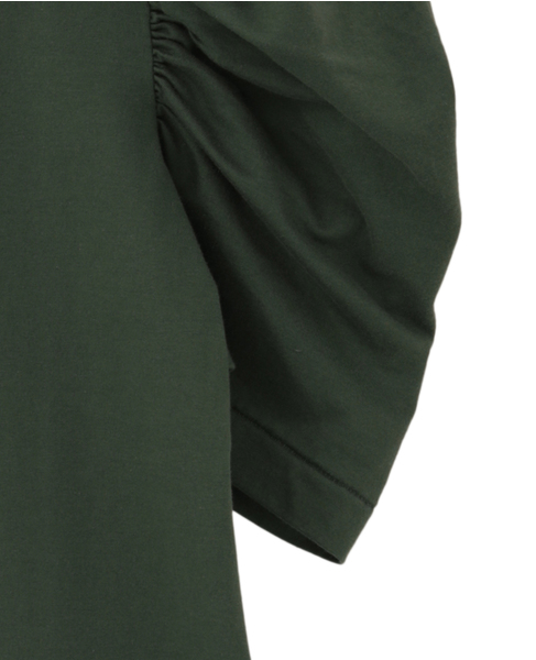 Plemiun Cotton Jersey Gather Sleeve Cut And Sew 詳細画像 ブラウン 4