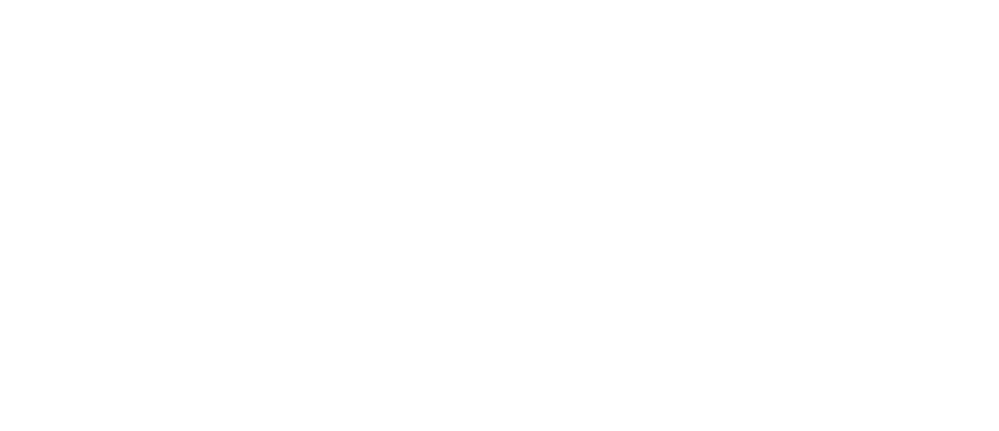 FRAGMENTS of SUMMER