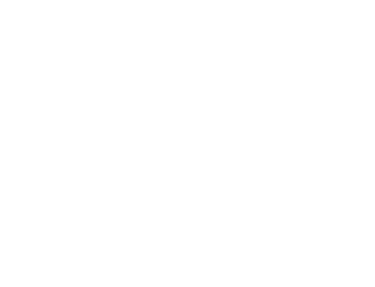 TAION × Liesse